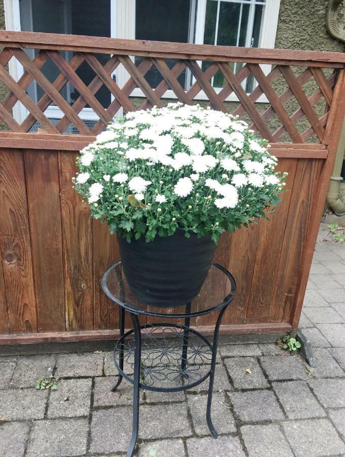 Dunbar Home Vancouver Luaran gambar