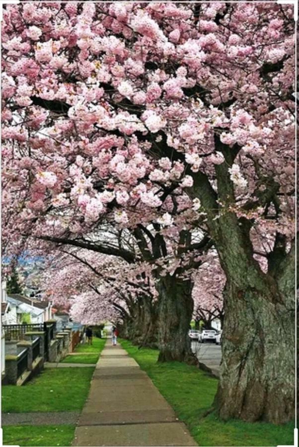 Dunbar Home Vancouver Luaran gambar